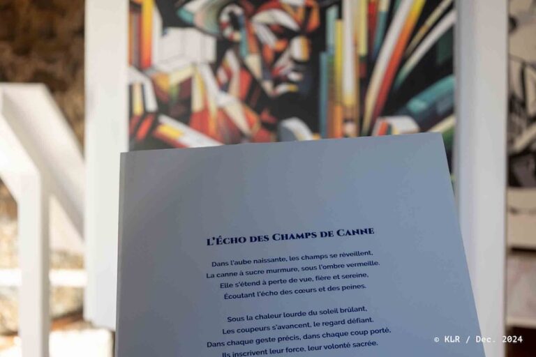 expo-loutoby-maison-de-la-canne--45