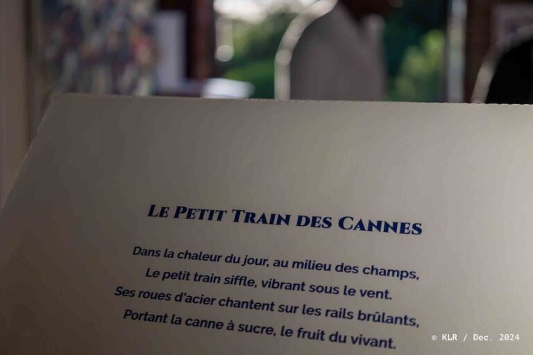 expo-loutoby-maison-de-la-canne--49