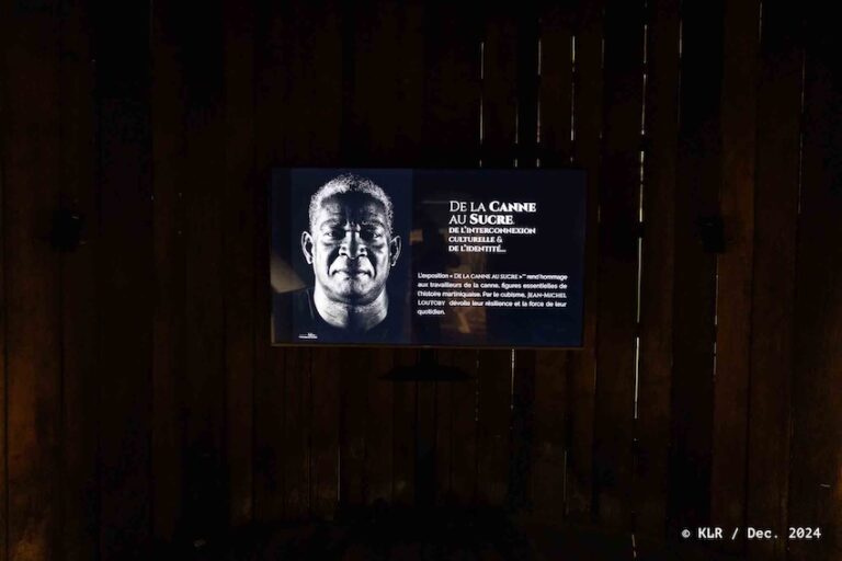 expo-loutoby-maison-de-la-canne--78